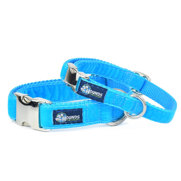 Turquoise Velvet Essential Martingale Dog Collar 2 Hounds Design