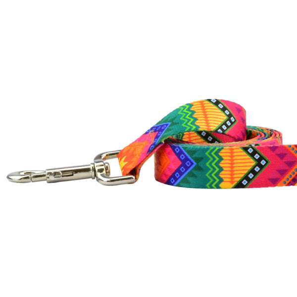 Close-up of dog leash with silver hardware featuring multicolor geometric pattern by 2 Hounds Design - Earthstyle