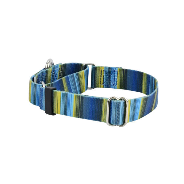 Clyde Martingale Dog Collar β EarthStyle