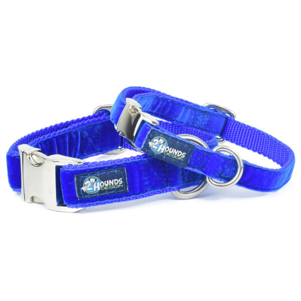 Royal Blue Velvet Essential Martingale Dog Collar 2 Hounds Design