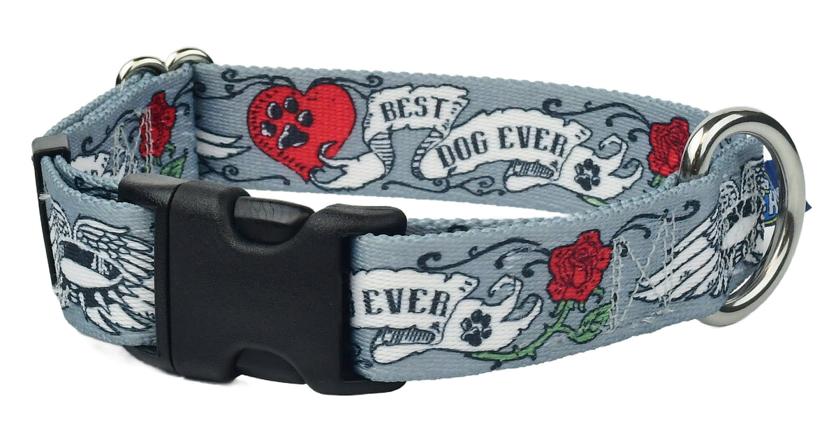 Best Dog Ever Buckle Martingale Dog Collar EarthStyle (1" Only) 2
