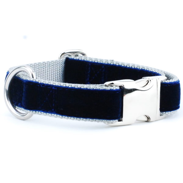 Navy/Silver Holiday Velvet Essential Martingale Dog Collar 2 Hounds