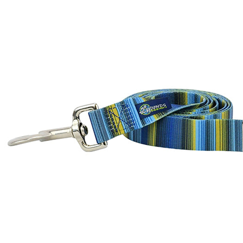 Close-up of dog leash with silver hardware featuring teal and green striped pattern by 2 Hounds Design - Earthstyle