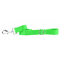 Neon Green Nylon Dog Leash