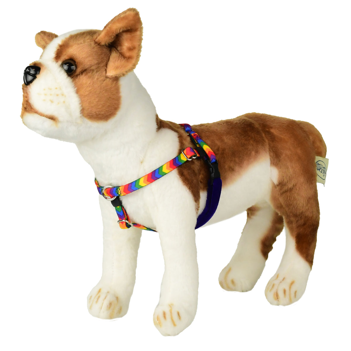 XXSmall Rainbow Stripe Freedom No-Pull Harness 13