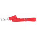Red Nylon Dog Leash