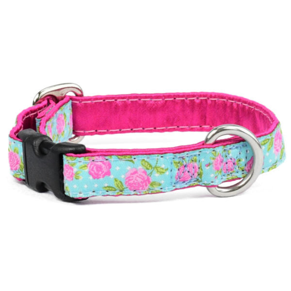 5/8″ Rosy Dots Aqua Martingale Dog Collar 2 Hounds Design