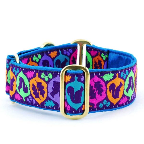 Squirrel! β Exclusive Dog Collar