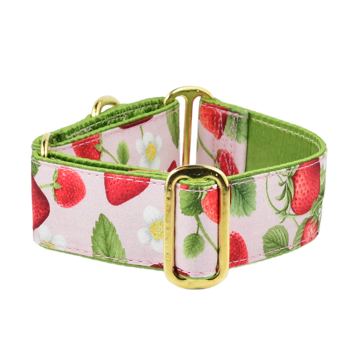 Strawberry Fields – Exclusive Dog Collar