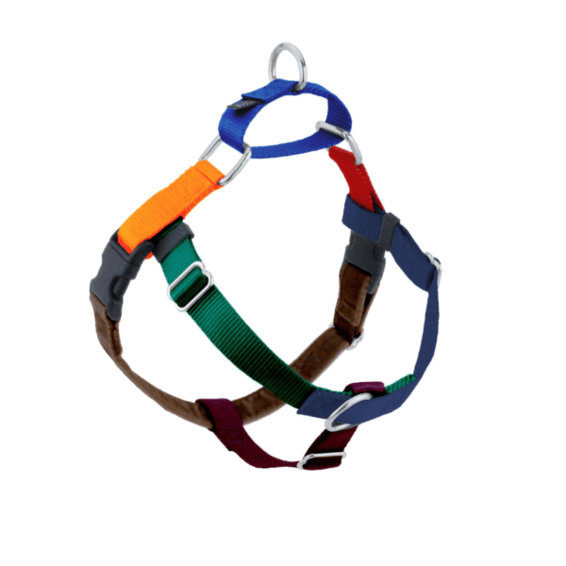 Jellybean Spice Freedom No Pull Dog Harness