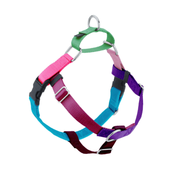 Jellybean Sugar Freedom No Pull Dog Harness