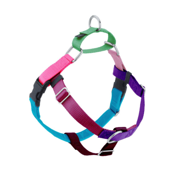 2 hounds design freedom no pull dog harness & leash online