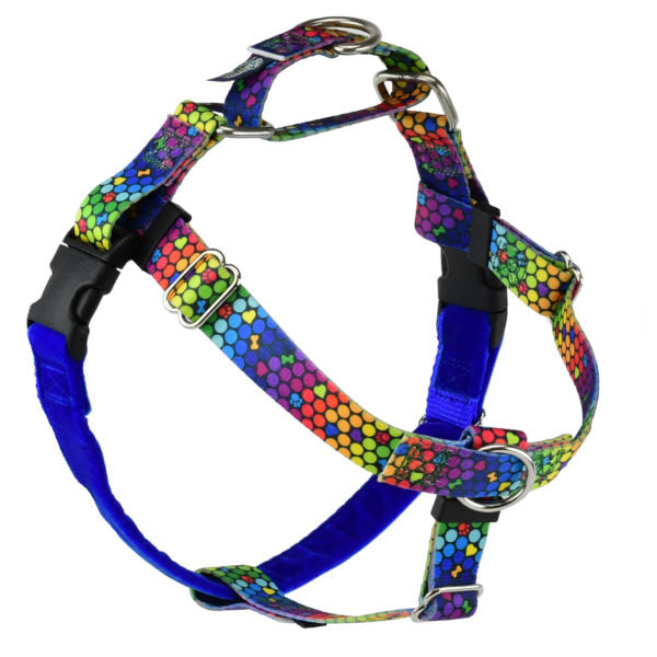 Vibrant rainbow hexagon pattern no-pull freedom dog harness with double leash attachment points by 2 Hounds Design
