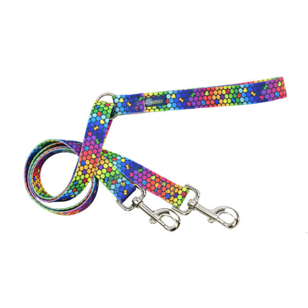 Double connection dog leash with vibrant rainbow hexagon pattern on durable webbing and silver metal hardware by 2 Hounds Design. - Earthstyle