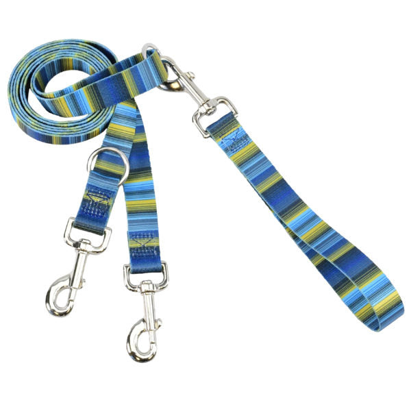 Teal and green striped dog eruo-style training leash with silver hardware by 2 Hounds Design - Earthstyle