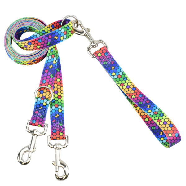 Double connection euro-style dog leash with vibrant rainbow hexagon pattern on durable webbing and silver metal hardware by 2 Hounds Design. - Earthstyle