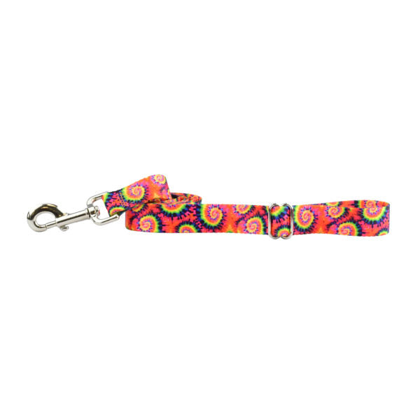 Classic Tie-Dye Dog Leash - EarthStyle