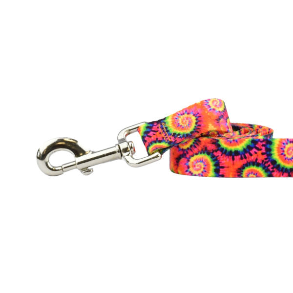 Close-up of dog leash with silver hardware featuring vibrant rainbow swirl pattern by 2 Hounds Design - Earthstyle