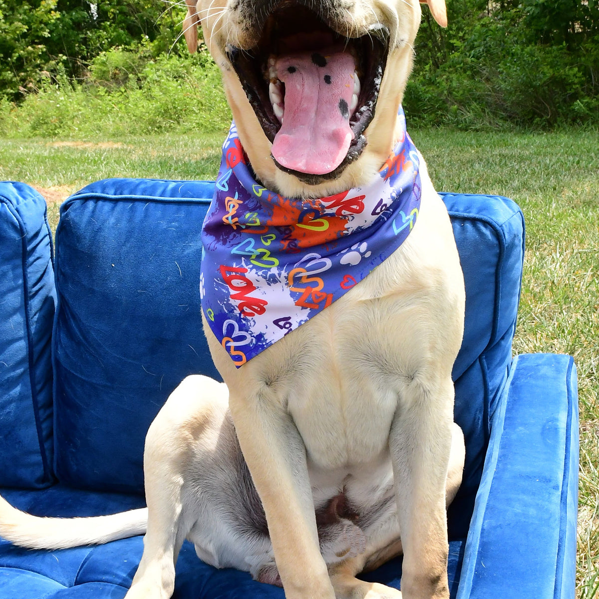 Love Graffiti Blue Dog Bandana