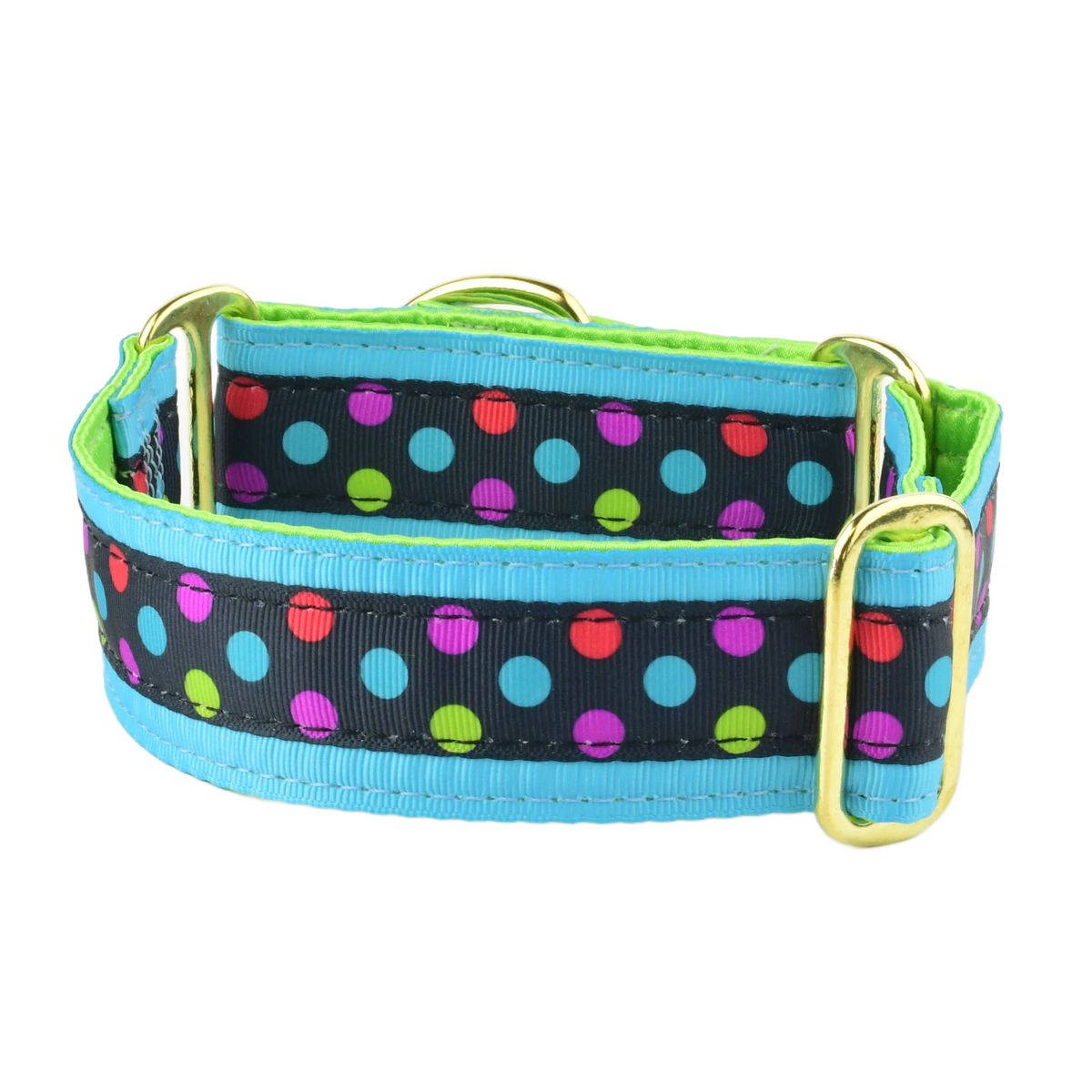 Gumballs - Limited Buckle Martingale Dog Collar
