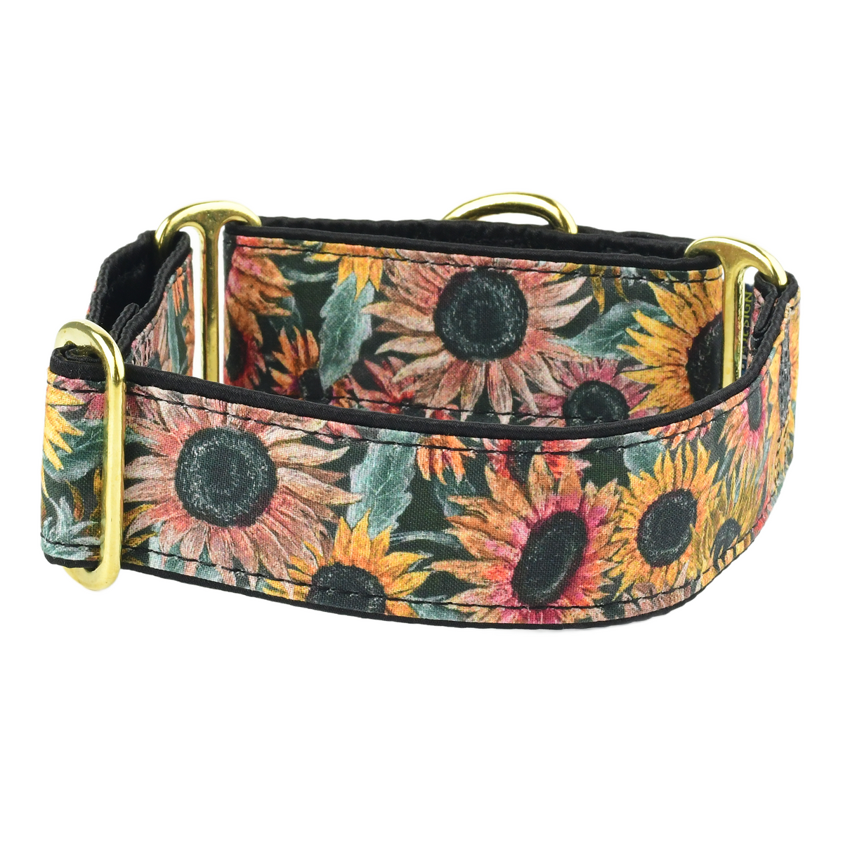 Sunflower Field - Limited Buckle Martingale Dog Collar