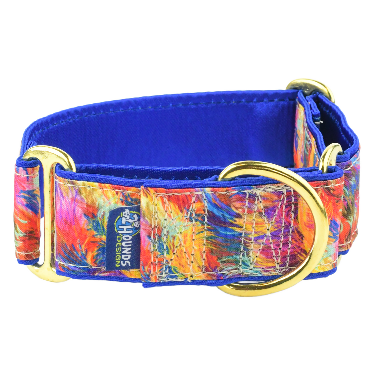 Feathery Colors - Limited Dog Collar