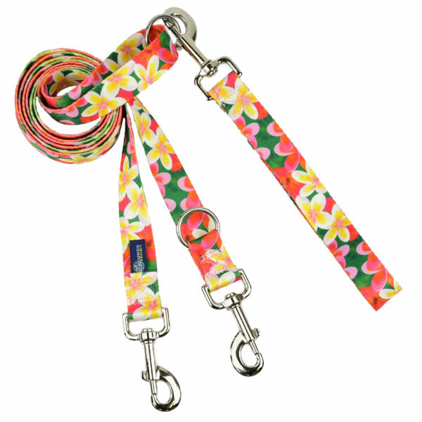 Tropical plumeria floral euro double connection dog leash in pink, yellow, and green by 2 Hounds Design – vibrant summer accessory - Earthstyle