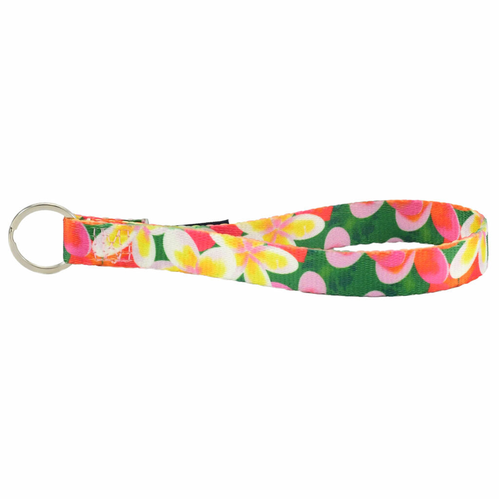 **BUNDLE!** Aloha Freedom No-Pull Harness & More!