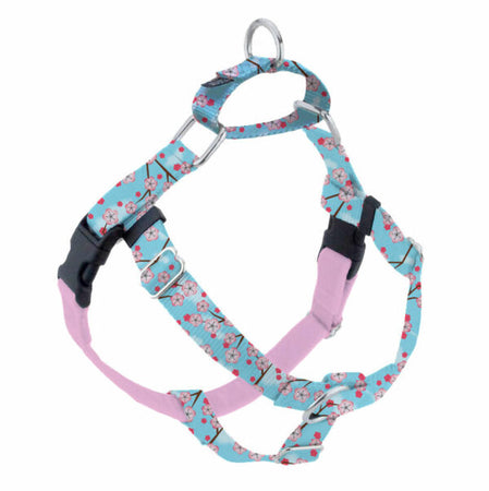 Vibrant life dog outlet harness how to use