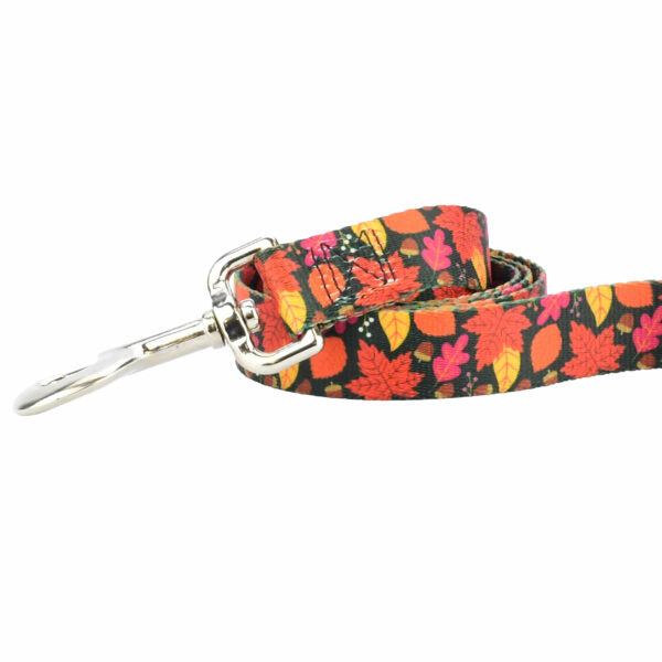 Close-up of dog leash with silver hardware featuring fall leaf pattern in red, orange, and yellow by 2 Hounds Design - Earthstyle