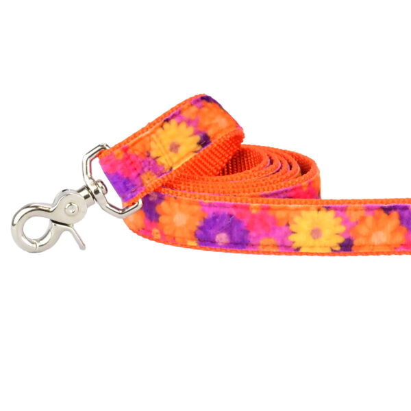 Close-up of orange, purple, and yellow floral pattern velvet dog leash with silver hardware by 2 Hounds Design