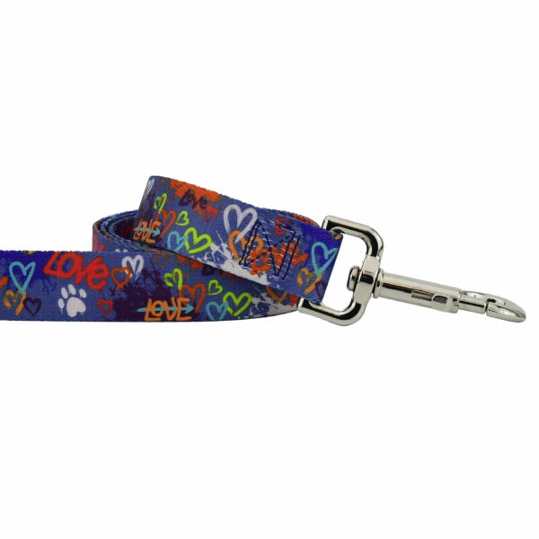 Close-up of dog leash with silver hardware featuring colorful 