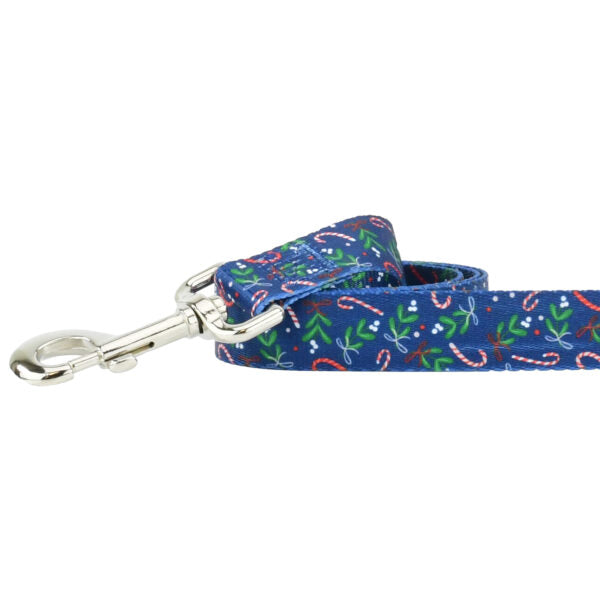 Close-up of dog leash with silver hardware featuring candy cane pattern on blue background by 2 Hounds Design - Earthstyle