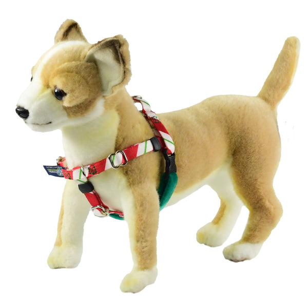 XXSmall Peppermint Freedom No-Pull Harness 13