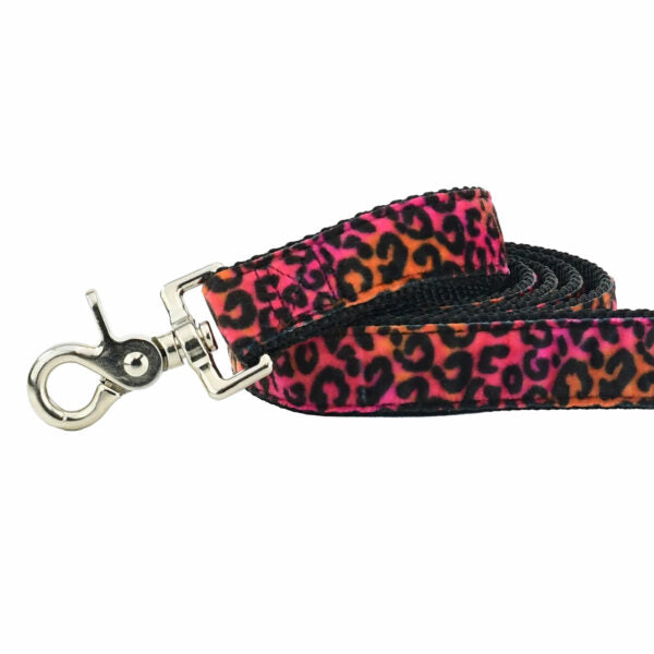 Close-up of black leopard print in pink and orange background velvet dog leash with silver hardware by 2 Hounds Design