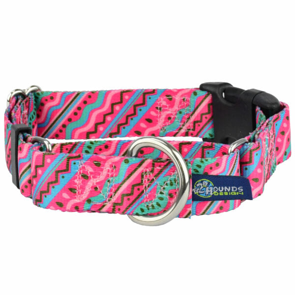 1980's Buckle Martingale Dog Collar – EarthStyle Hounds Design