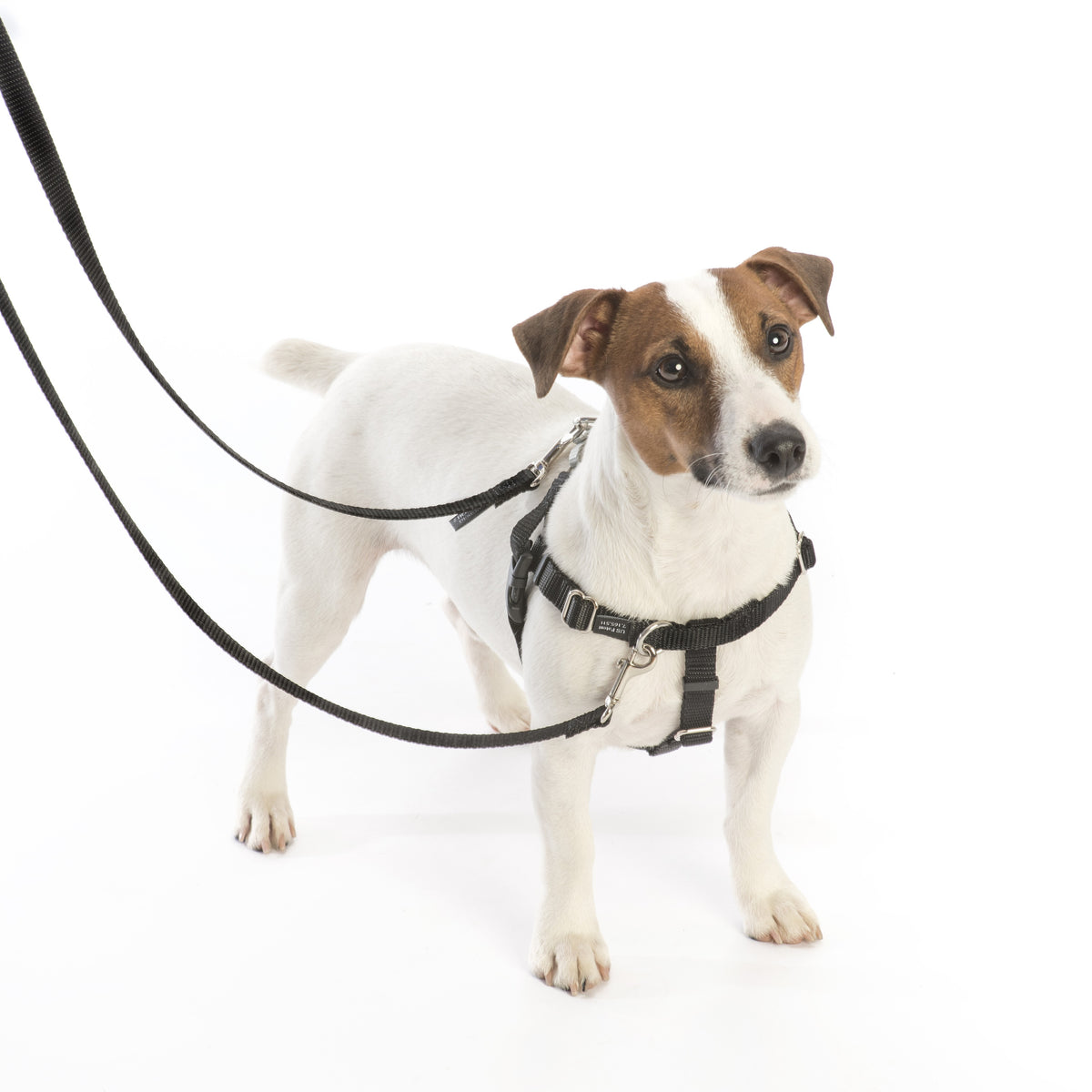 For harness listings