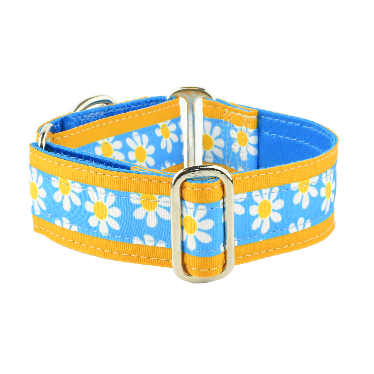 Blue Daisy - Limited Buckle Martingale Dog Collar
