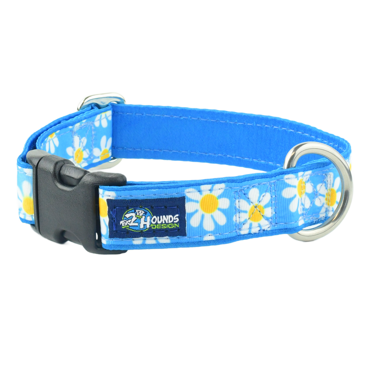 Blue Daisy - Limited Buckle Martingale Dog Collar