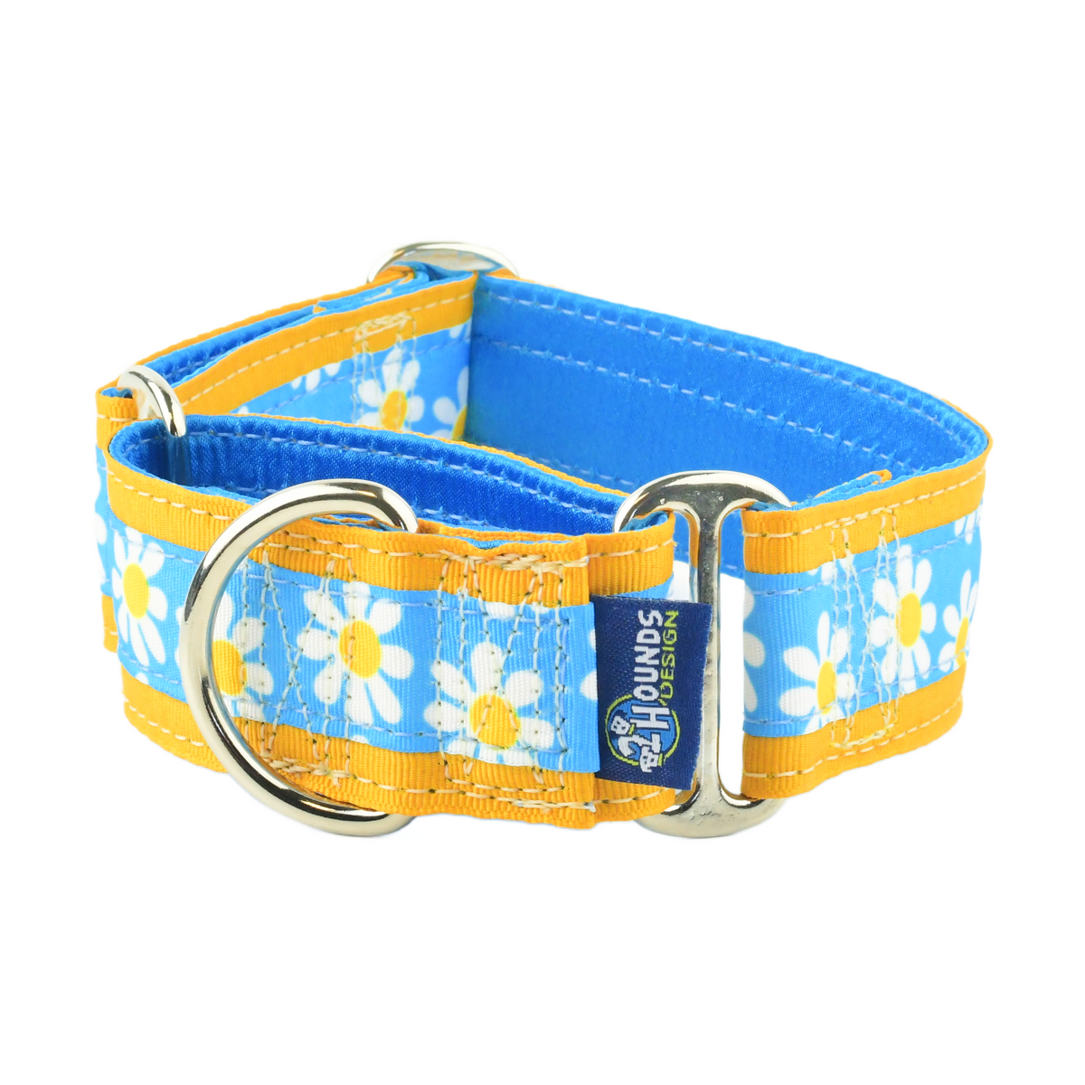 Blue Daisy - Limited Buckle Martingale Dog Collar