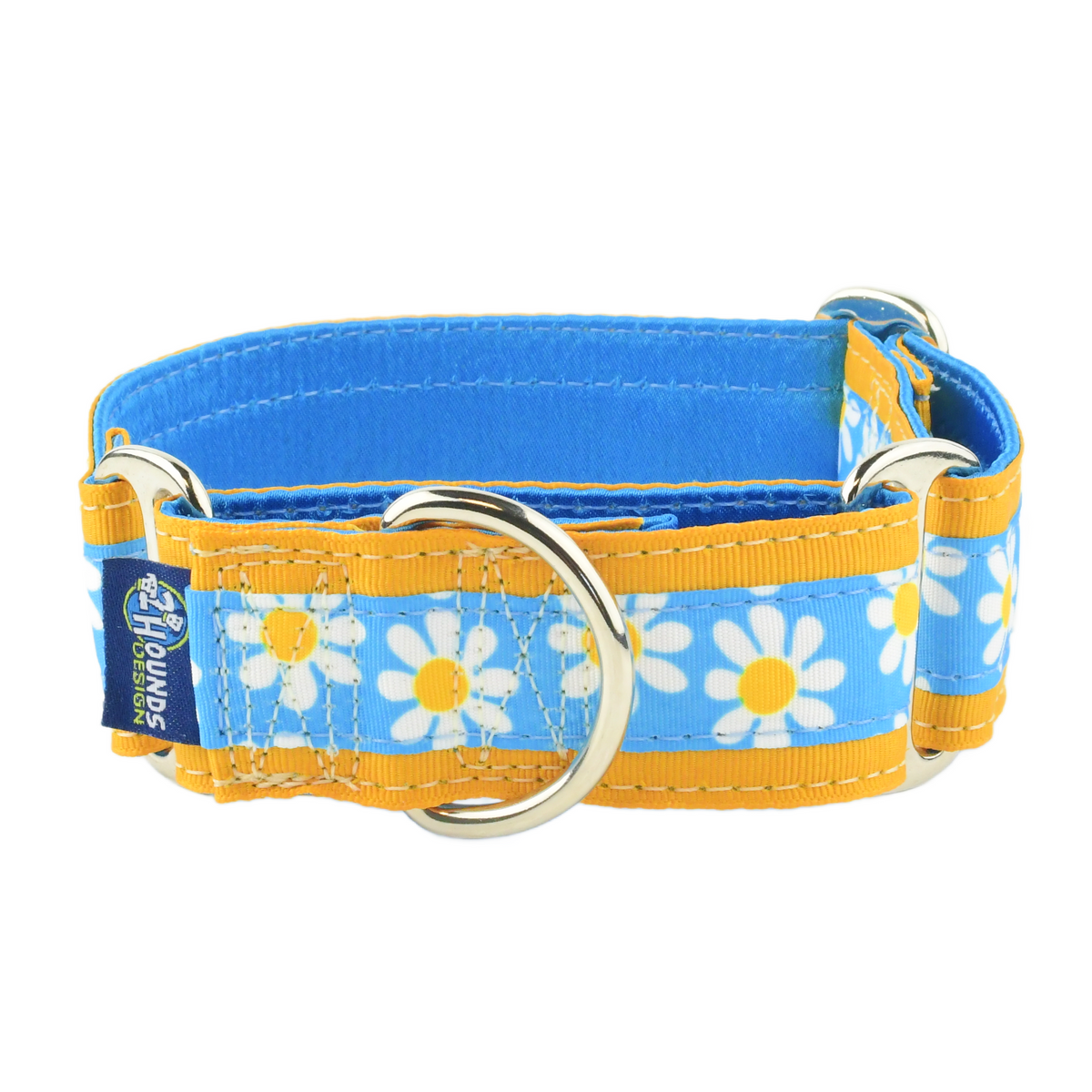 Blue Daisy - Limited Buckle Martingale Dog Collar