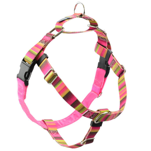 Vibrant pink and green striped pattern no-pull freedom dog harness with double leash attachment points by 2 Hounds Design