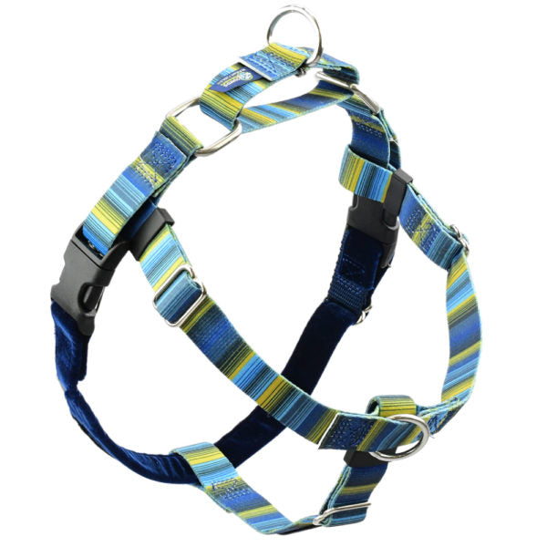 Teal and green striped no-pull freedom dog harness with double leash attachment points by 2 Hounds Design