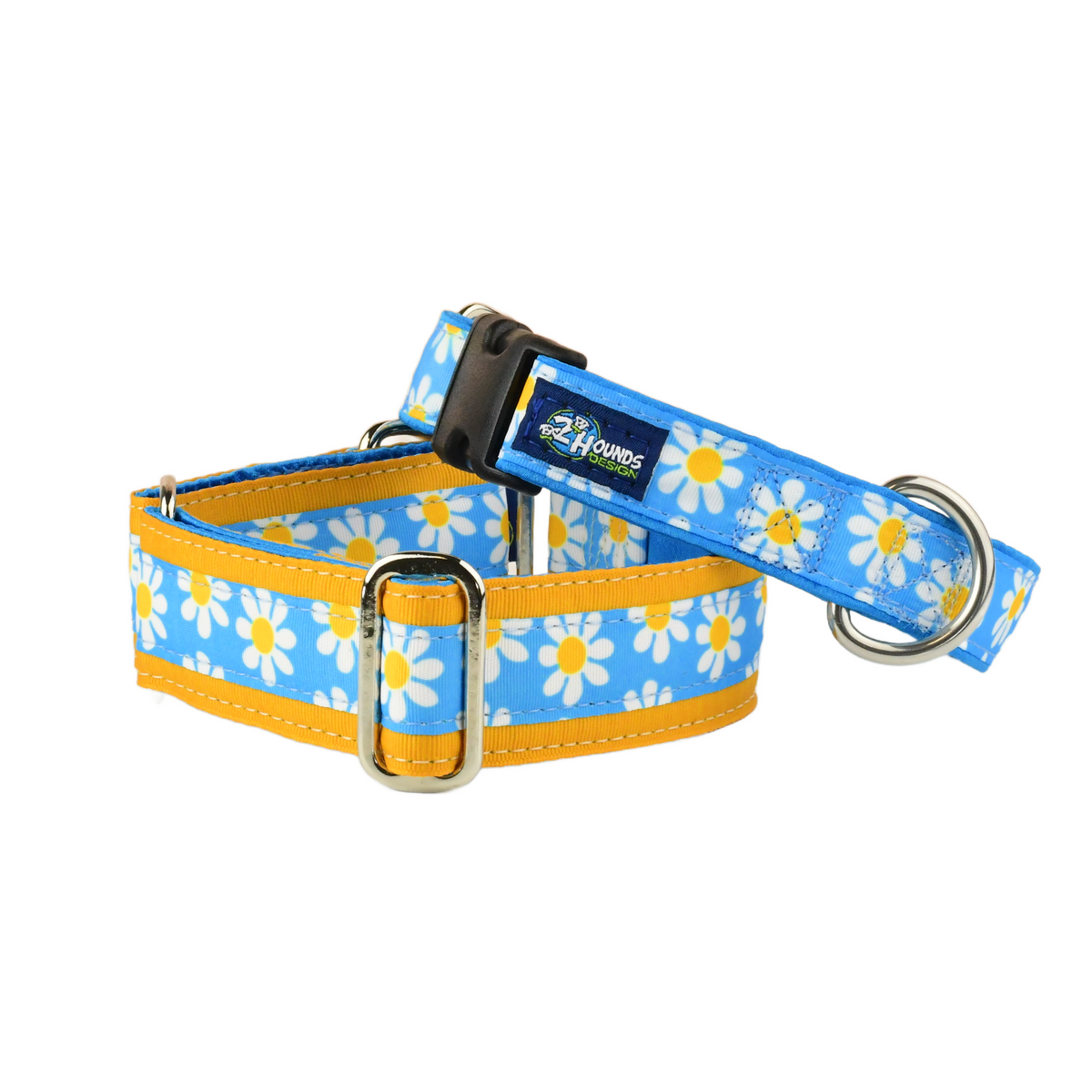 Blue Daisy - Limited Buckle Martingale Dog Collar