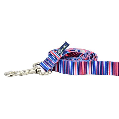 Close-up of dog leash with silver hardware featuring thin dark blue, red, and white stripes on light gray by 2 Hounds Design - Earthstyle