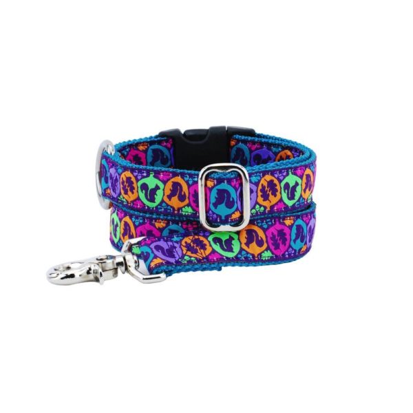 Matching bright multicolor dog leash and collar with squirrel silhouette design by 2 Hounds Design – fun and durable