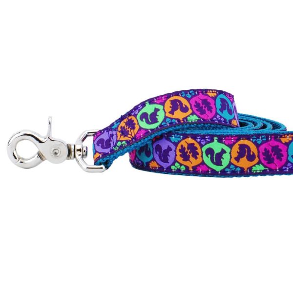 Close-up of a bright multicolor dog leash with squirrel silhouette design by 2 Hounds Design – fun and durable