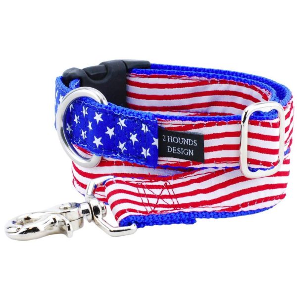 Marching patriotic red and white striped dog leash and collar by 2 Hounds Design with blue webbing and silver clip