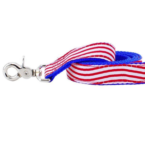 Close up of a patriotic red and white striped dog leash by 2 Hounds Design with blue webbing and silver clip