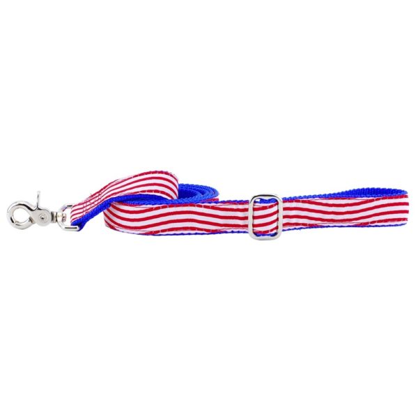 Patriotic red and white striped dog leash by 2 Hounds Design with blue webbing and silver clip